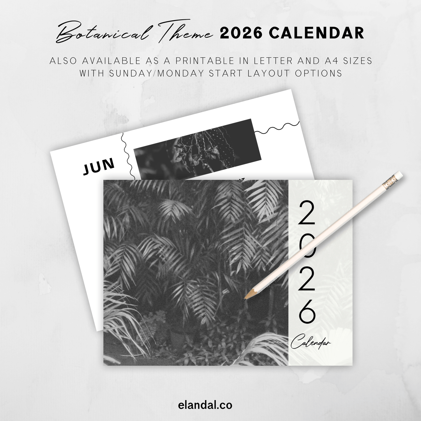2026 Print Botanical Black and White Landscape Photo Calendar