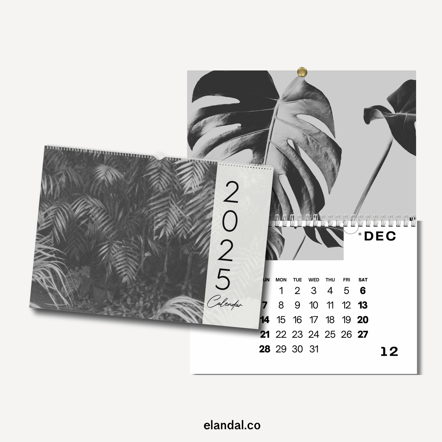 Calendario fotográfico botánico en blanco y negro para imprimir en 2025