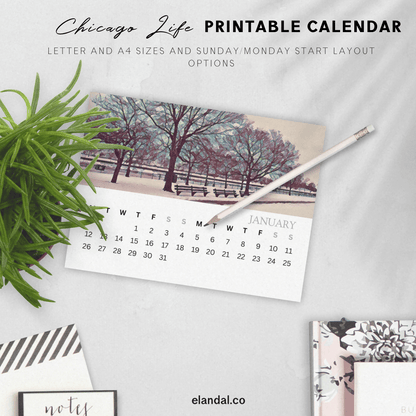 2026 Printable Chicago Illustrated Calendar