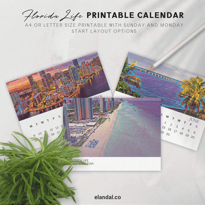 2026 Printable Florida Illustrated Calendar