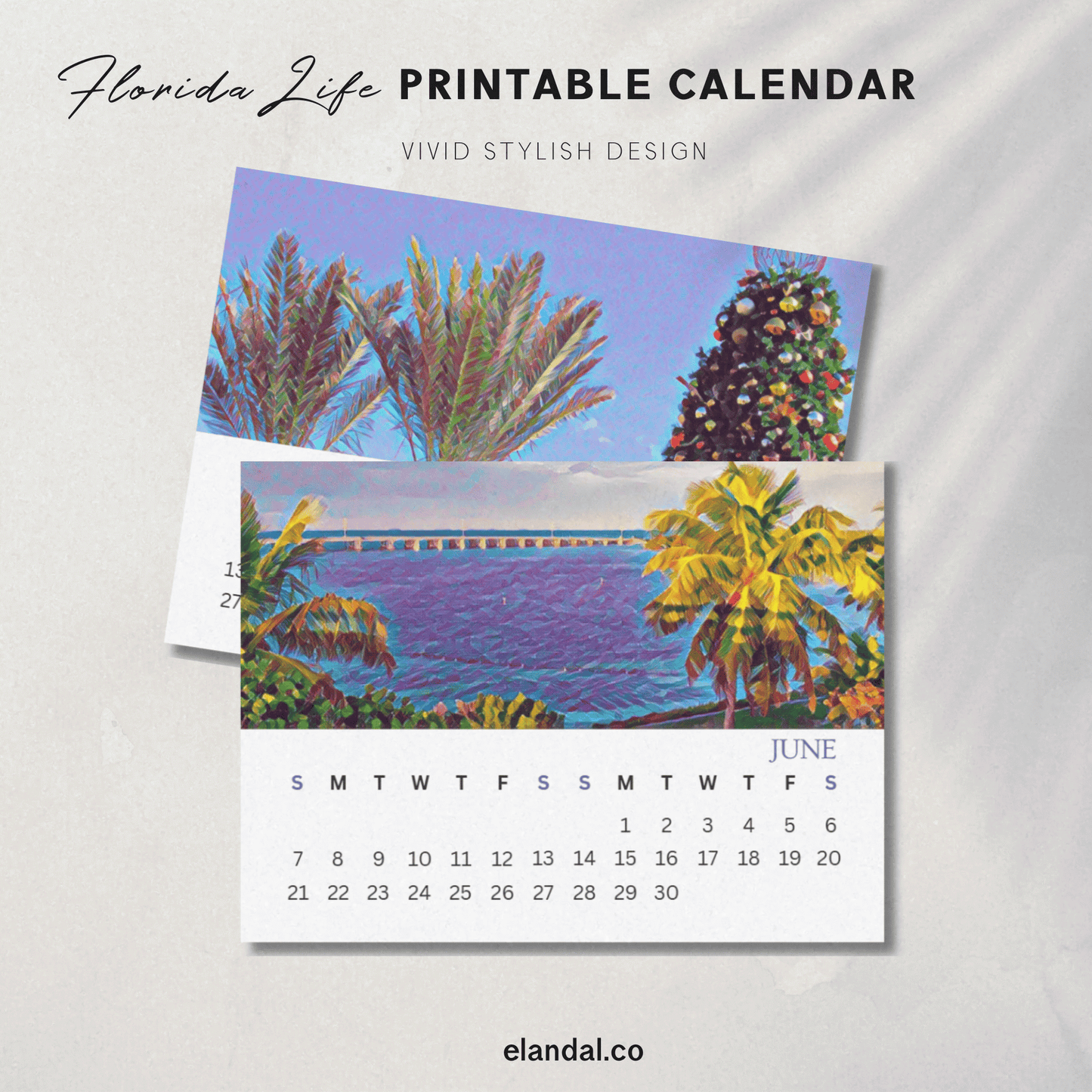 2026 Printable Florida Illustrated Calendar