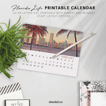 2026 Printable Florida Illustrated Calendar